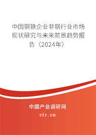 中國鋼鐵企業非鋼行業市場現狀研究與未來前景趨勢報告（2024年）