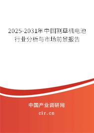 2024-2030年中國割草機電池行業分析與市場前景報告