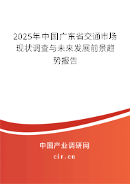 2025年中國廣東省交通市場現狀調查與未來發展前景趨勢報告