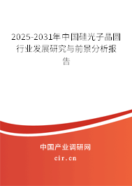 2025-2031年中國硅光子晶圓行業發展研究與前景分析報告