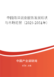中國海洋調查服務發展現狀與市場前景（2025-2031年）