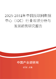 2025-2031年中國互聯網數據中心（IDC）行業現狀分析與發展趨勢研究報告