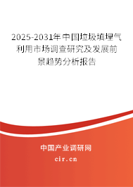 2025-2031年中國垃圾填埋氣利用市場調查研究及發展前景趨勢分析報告