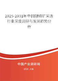 2025-2031年中國鋰精礦采選行業深度調研與發展趨勢分析