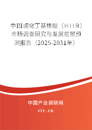 中國(guó)鹵化丁基橡膠（HIIR）市場(chǎng)調(diào)查研究與發(fā)展前景預(yù)測(cè)報(bào)告（2025-2031年）
