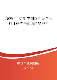 2025-2031年中國煤制天然氣行業研究與市場前景分析報告