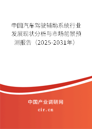 中國(guó)汽車(chē)駕駛輔助系統(tǒng)行業(yè)發(fā)展現(xiàn)狀分析與市場(chǎng)前景預(yù)測(cè)報(bào)告（2025-2031年）