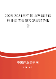 2025-2031年中國山東省環保行業深度調研及發展趨勢報告