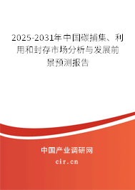 2025-2031年中國碳捕集、利用和封存市場分析與發展前景預測報告