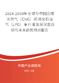 2024-2030年全球與中國壓縮天然氣（CNG）和液化石油氣（LPG）車行業發展深度調研與未來趨勢預測報告