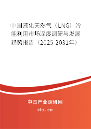 中國液化天然氣（LNG）冷能利用市場深度調研與發展趨勢報告（2025-2031年）