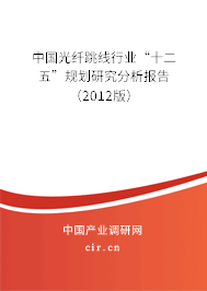 中國光纖跳線行業(yè)“十二五”規(guī)劃研究分析報(bào)告（2012版）