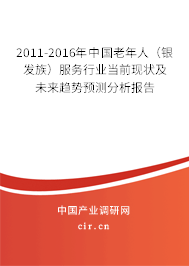 2011-2016年中國老年人（銀發(fā)族）服務(wù)行業(yè)當前現(xiàn)狀及未來趨勢預(yù)測分析報告