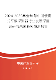 2024-2030年全球與中國便攜式平板探測器行業發展深度調研與未來趨勢預測報告
