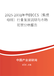 2025-2031年中國CCS（集成母排）行業(yè)發(fā)展調(diào)研與市場前景分析報告