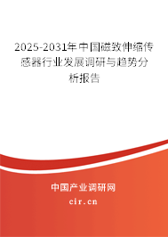2024-2030年中國磁致伸縮傳感器行業(yè)發(fā)展調(diào)研與趨勢分析報告
