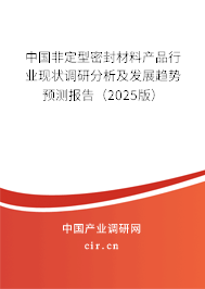 中國非定型密封材料產品行業現狀調研分析及發展趨勢預測報告（2025版）