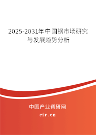 2025-2031年中國鋼市場研究與發展趨勢分析