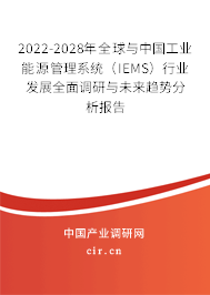 2022-2028年全球與中國工業(yè)能源管理系統(tǒng)（IEMS）行業(yè)發(fā)展全面調(diào)研與未來趨勢分析報(bào)告
