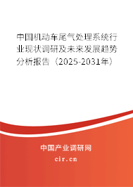中國機動車尾氣處理系統行業現狀調研及未來發展趨勢分析報告（2025-2031年）