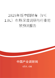 2025年版中國轎車（V≤1.0L）市場深度調研與行業前景預測報告