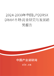 2024-2030年中國LPDDR5X DRAM市場調查研究與發展趨勢報告