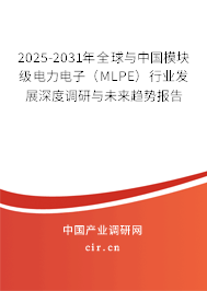 2025-2031年全球與中國模塊級電力電子（MLPE）行業發展深度調研與未來趨勢報告