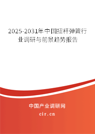 2025-2031年中國扭桿彈簧行業(yè)調(diào)研與前景趨勢報告