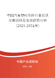中國汽車塑料零件行業(yè)現(xiàn)狀全面調研及發(fā)展趨勢分析（2025-2031年）