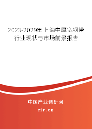 2023-2029年上海中厚寬鋼帶行業現狀與市場前景報告