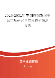 2025-2031年中國數據發現平臺市場研究與前景趨勢預測報告