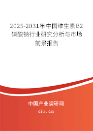 2025-2031年中國維生素B2磷酸鈉行業研究分析與市場前景報告
