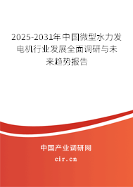 2025-2031年中國微型水力發電機行業發展全面調研與未來趨勢報告