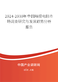 2024-2030年中國釉膜電阻市場調查研究與發展趨勢分析報告