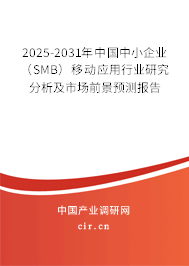 2025-2031年中國中小企業（SMB）移動應用行業研究分析及市場前景預測報告