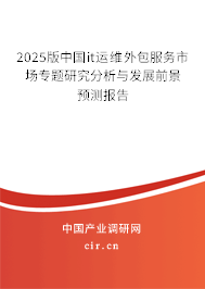 2025版中國it運維外包服務市場專題研究分析與發展前景預測報告