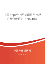 中國p2p行業現狀調研與市場前景分析報告（2024年）