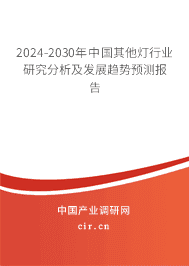 2023-2029年中國其他燈行業研究分析及發展趨勢預測報告
