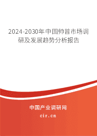 2023-2029年中國帥普市場調研及發展趨勢分析報告