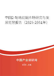 中國2-吡咯烷酮市場研究與發展前景報告（2025-2031年）