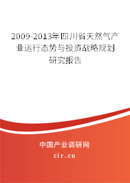 2009-2013年四川省天然氣產業運行態勢與投資戰略規劃研究報告