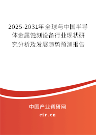 2024-2030年全球與中國半導體金屬蝕刻設備行業現狀研究分析及發展趨勢預測報告