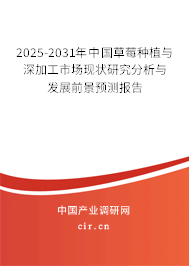 2025-2031年中國草莓種植與深加工市場現狀研究分析與發展前景預測報告