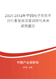 2025-2031年中國電子商務(wù)平臺行業(yè)發(fā)展深度調(diào)研與未來趨勢報告