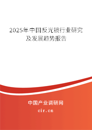2025年中國反光鏡行業研究及發展趨勢報告
