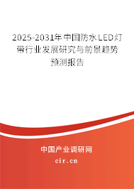 2025-2031年中國防水LED燈帶行業發展研究與前景趨勢預測報告