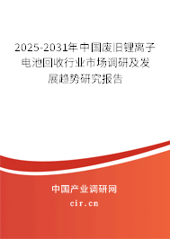 2025-2031年中國廢舊鋰離子電池回收行業市場調研及發展趨勢研究報告