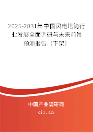 2024-2030年中國風(fēng)電塔筒行業(yè)發(fā)展全面調(diào)研與未來前景預(yù)測報告（下架）
