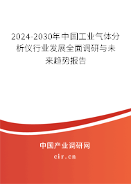 2024-2030年中國(guó)工業(yè)氣體分析儀行業(yè)發(fā)展全面調(diào)研與未來(lái)趨勢(shì)報(bào)告