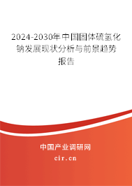 2024-2030年中國固體硫氫化鈉發展現狀分析與前景趨勢報告